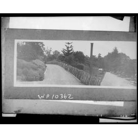Panorama of the Botanic Gardens, Wellington