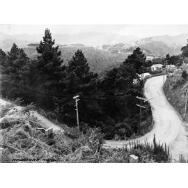 Elevated view of an unsealed Wadestown Road