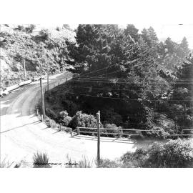 Elevated view of an unsealed Wadestown Road