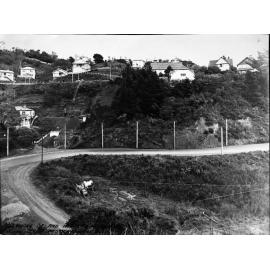 Elevated view of Glenmore Street and wooden dwellings on hillside
