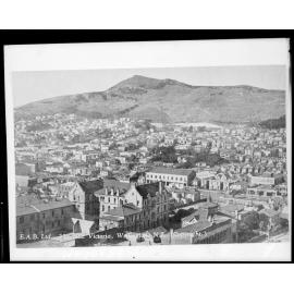 Mount Victoria from Te Aro