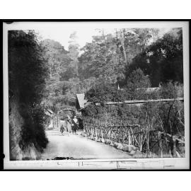 Botanic Garden, women with children walking along path