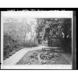 View of G Hunter's garden, from corner of Willis Street and Webb Street