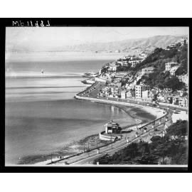 Elevated of Oriental Bay, from above Oriental Parade