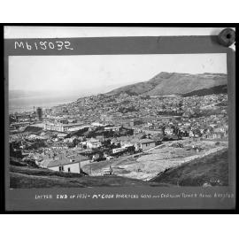 Te Aro from Mount Cook