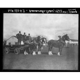 Wellington City Corporation prize winning horses