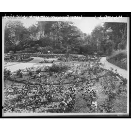 Rose Gardens, Zoological Gardens