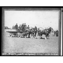 Wellington City Corporation prize winning horses