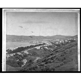 Elevated view of Wellington from above the Terrace