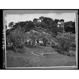 Group of children at the Botanic Gardens