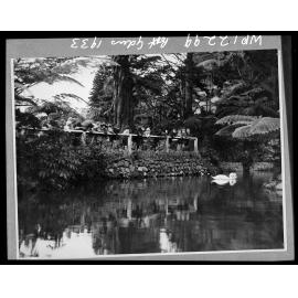 Children feeding the swan at the Duck Pond, Botanic Gardens