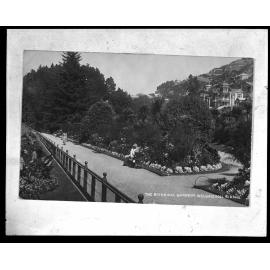 Walkway and flowerbeds, Botanic Garden