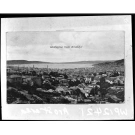 Elevated view of Wellington, from Brooklyn