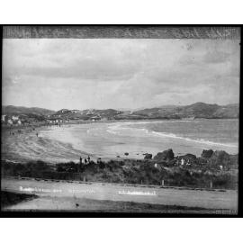 Elevated view of Lyall Bay Beach