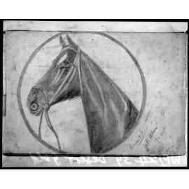 Copy photograph of a pencil drawing of horse, Desert Gold