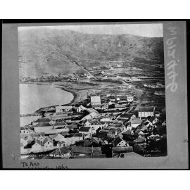 Elevated view of Te Aro and Mount Victoria