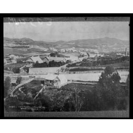 Newtown, looking across to the Mount View Asylum