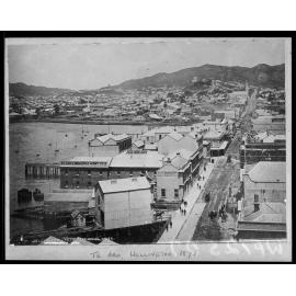 Wellington from the Post Office Tower