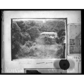 Muritai, a single storey wooden dwelling surrounded by bush