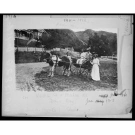 People with horse and buggy, corner of Kowhai Street and Mahoe Road, Eastbourne