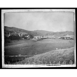 Johnsonville, mostly undeveloped land