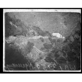 Ngauranga Gorge - Liddle's house at abattoirs