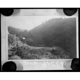 Karori Reservoir, looking up gully to lower dam