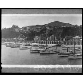 Boat Harbour Wellington NZ 1923 No. 391
