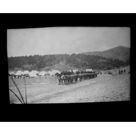 Military Camp, Newtown Park