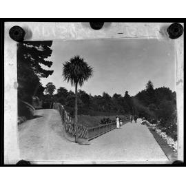 Botanic Garden, people walking along pathway