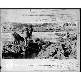 Rocky Seaside, Porirua