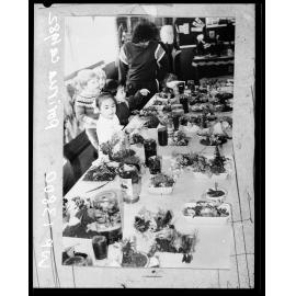 Primary School Students in Classroom, Porirua