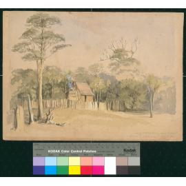 Sketch by Charles Decimus Barraud: Early settler's home near Wellington