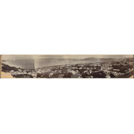 Panorama of Thorndon