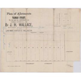 James McColl and Co, application for private road off Tasman Street [Douglas Wallas Street]