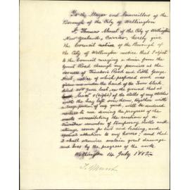 Objection to the George Street drain - T Munt