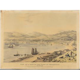 View of a part of the Town of Wellington, New Zealand, looking towards the south east comprising about one third of the water frontage