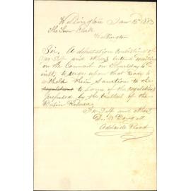 To wait in council regarding Basin Reserve regulation - D McDougall