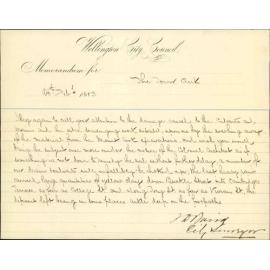Damage by debris from Mount Cook prison - City Surveyor