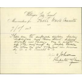 Unfenced section at Newtown - Inspector of Nuisances