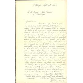 Unfenced section, Buller Street - W J Parson