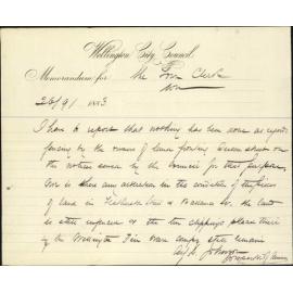 Report as to unfences section, Queen Street and Featherston Street - Inspector of Nuisances