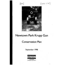 Newtown Park Krupp Gun, Conservation Plan