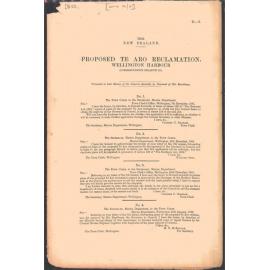 Proposed Wharf at Petone