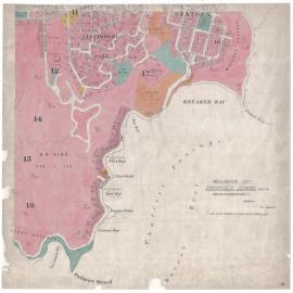 Wellington City Council Zoning Scheme 1946, map 8