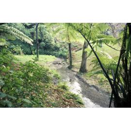 a. Site of proposed Japanese Garden, Botanic Garden