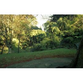 g. Site of proposed Japanese Garden, Botanic Garden