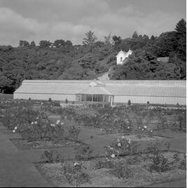 g. Botanic Garden, Rose Gardens and Begonia House