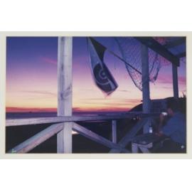 'Sunset', Brass Monkey, 491 The Esplanade Island Bay