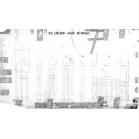 Wellington Main Drainage, Newtown Avenue, Cardall Street, Regent Street, Harper Street, Asylum Reserve
